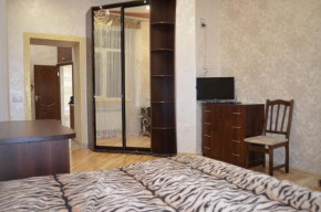 Гостиница Apartamenty Novyi Svit  Львов